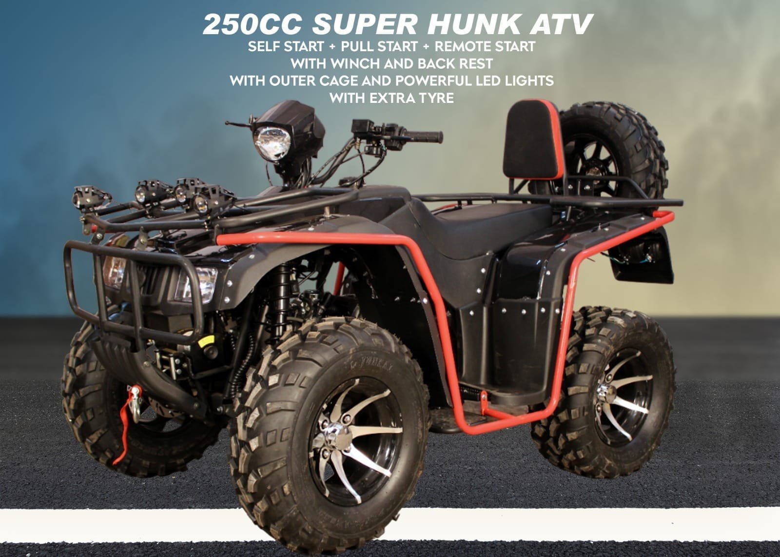 WhatsApp Image 2026-02-15 at 1.33.42 PM