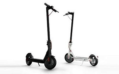 WhatsApp Image 2026-02-21 at 2.35.16 PM