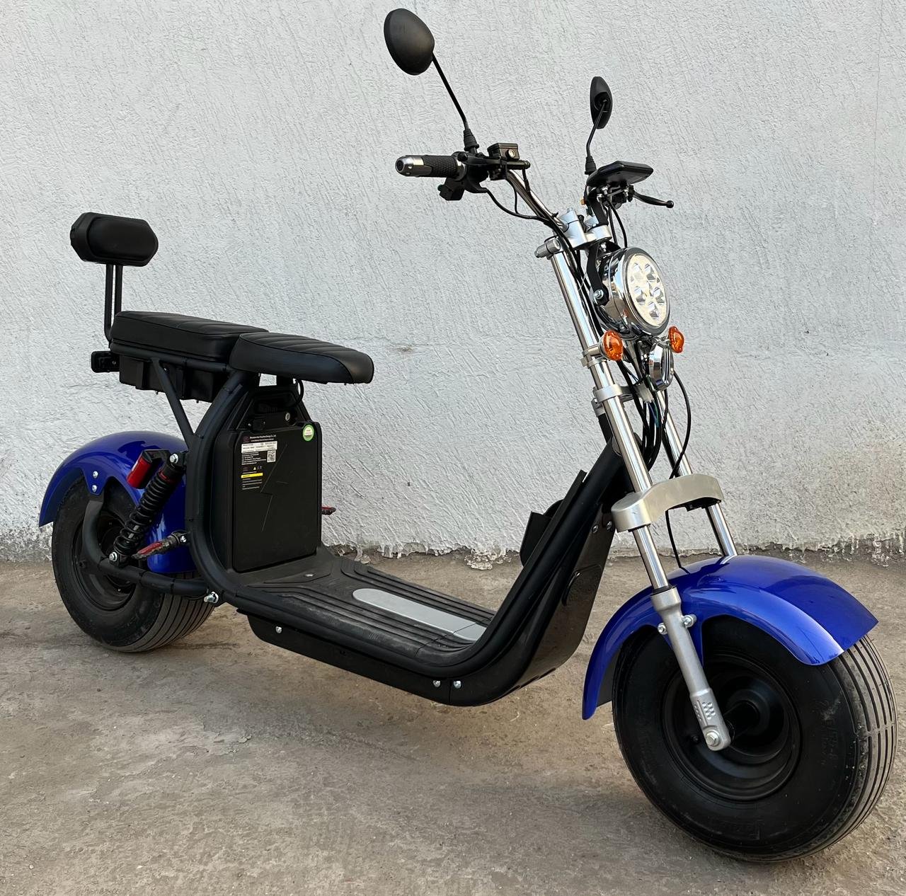 WhatsApp Image 2026-02-21 at 2.41.12 PM